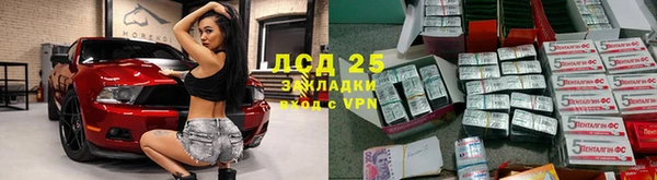 прущие грибы Абдулино