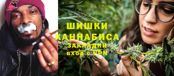 spice Вяземский